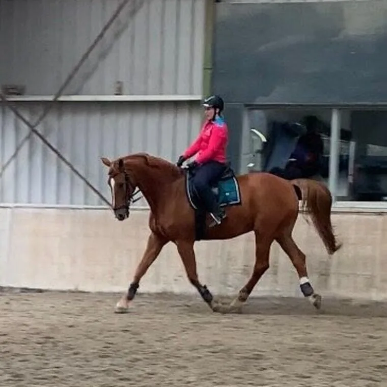 Anita van Roon — klant van Lopes Personal Trainer in Voorschoten